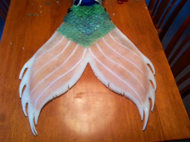 Name:  tail update 1.JPG
Views: 601
Size:  112.7 KB