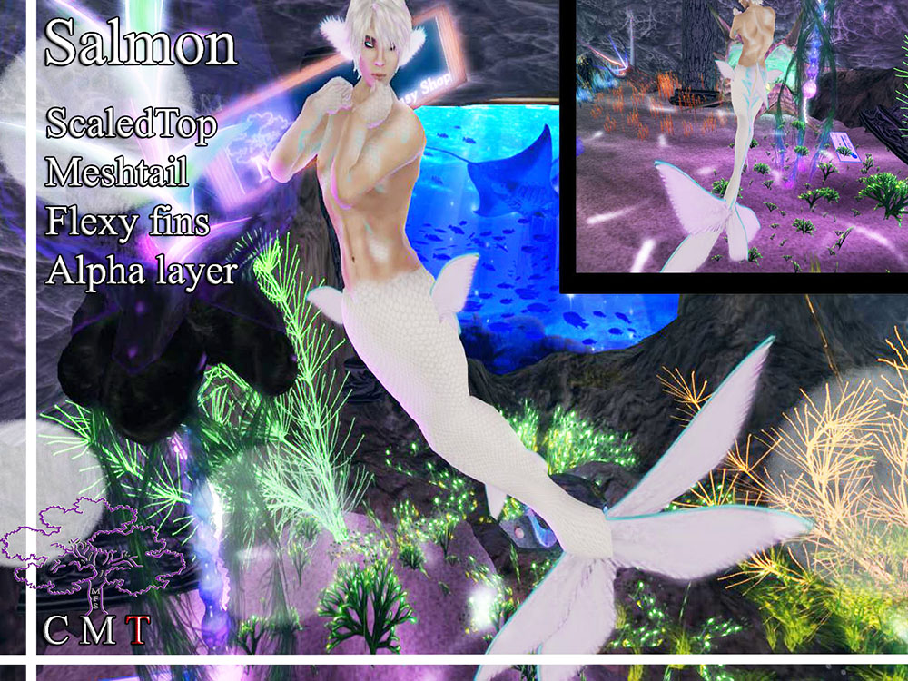 Name:  Salmon mer Avatar Advertisement 2.jpg
Views: 1130
Size:  294.4 KB