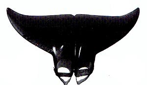 Name:  dol-fin.jpg
Views: 24275
Size:  22.6 KB