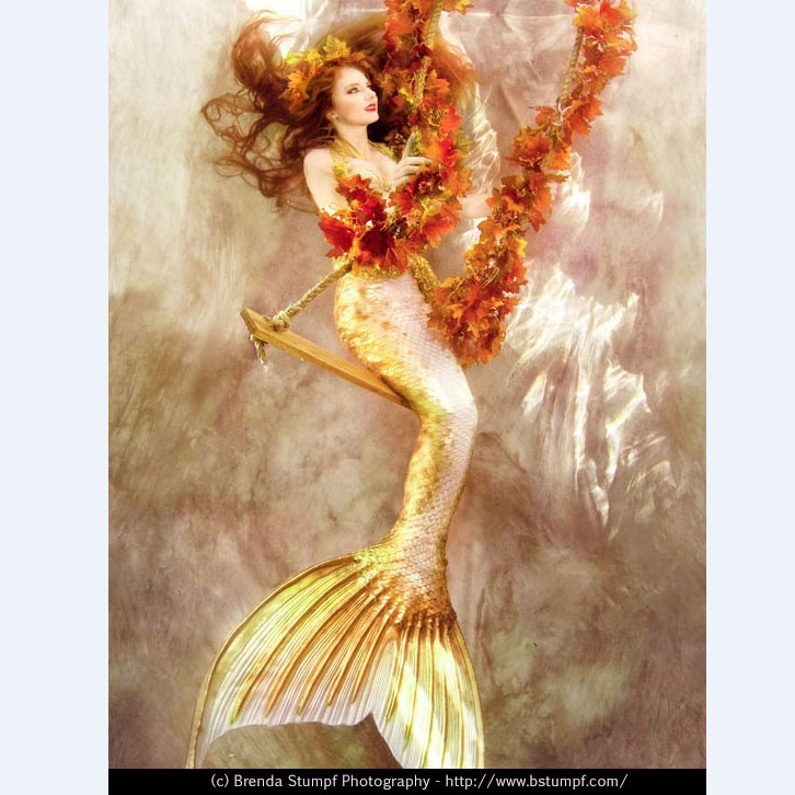 Name:  square-web-catalina-mermaid-on-swing-brenda-stumpf.jpg
Views: 463
Size:  107.0 KB