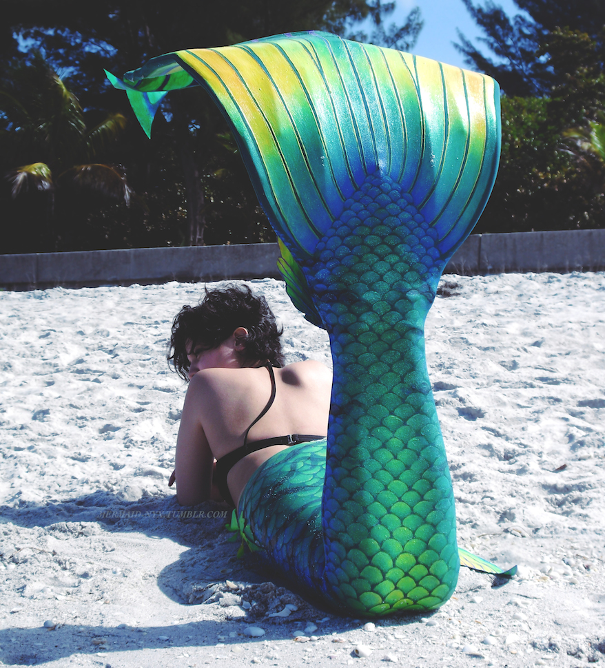 Name:  MermaidNyx20152 copy.jpg
Views: 1026
Size:  756.8 KB