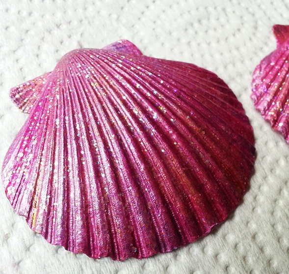 Name:  shell.jpg
Views: 1158
Size:  272.4 KB