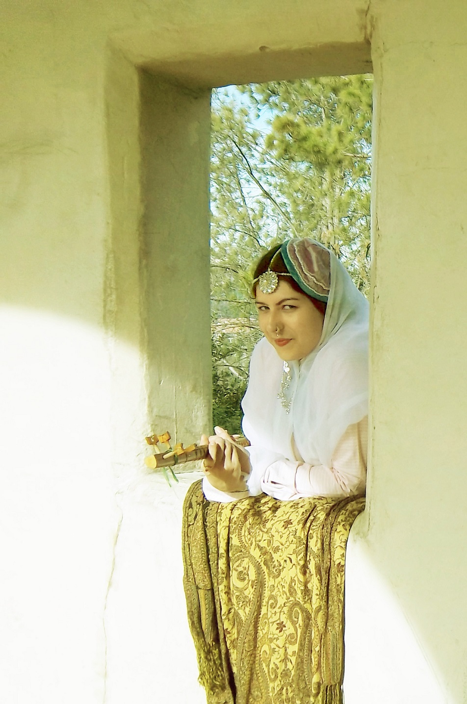 Name:  Qajar window small.jpg
Views: 643
Size:  353.0 KB