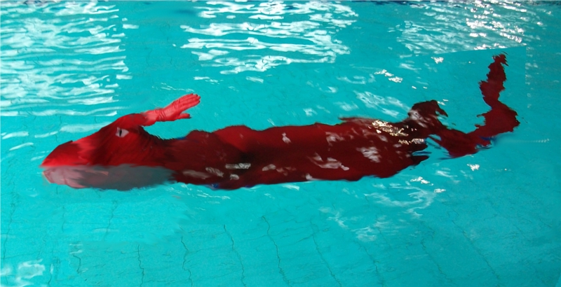 Name:  unleas_swim1.jpg
Views: 807
Size:  246.6 KB