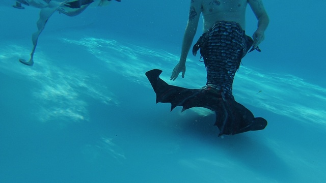 Name:  100_0608.JPG
Views: 2559
Size:  59.4 KB