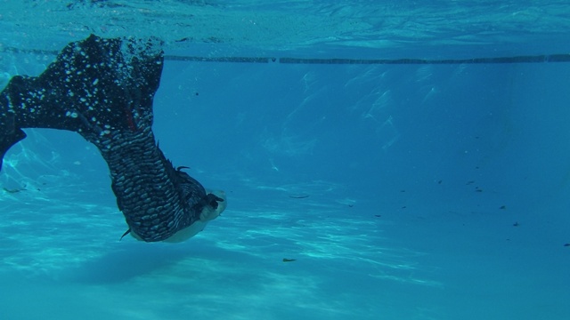 Name:  100_0611.JPG
Views: 2475
Size:  68.3 KB