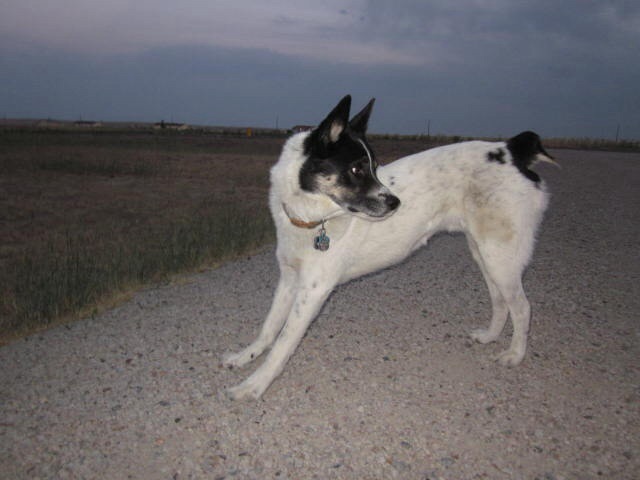 Name:  image.jpg
Views: 445
Size:  54.1 KB