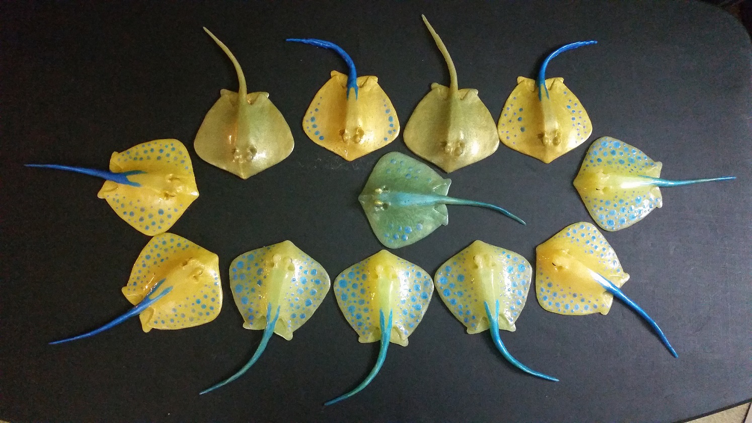 Name:  all the stingrays.jpg
Views: 596
Size:  423.9 KB