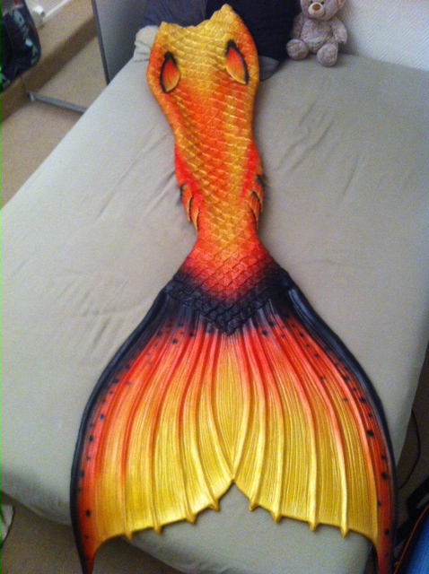Name:  image 1.jpg
Views: 806
Size:  165.5 KB