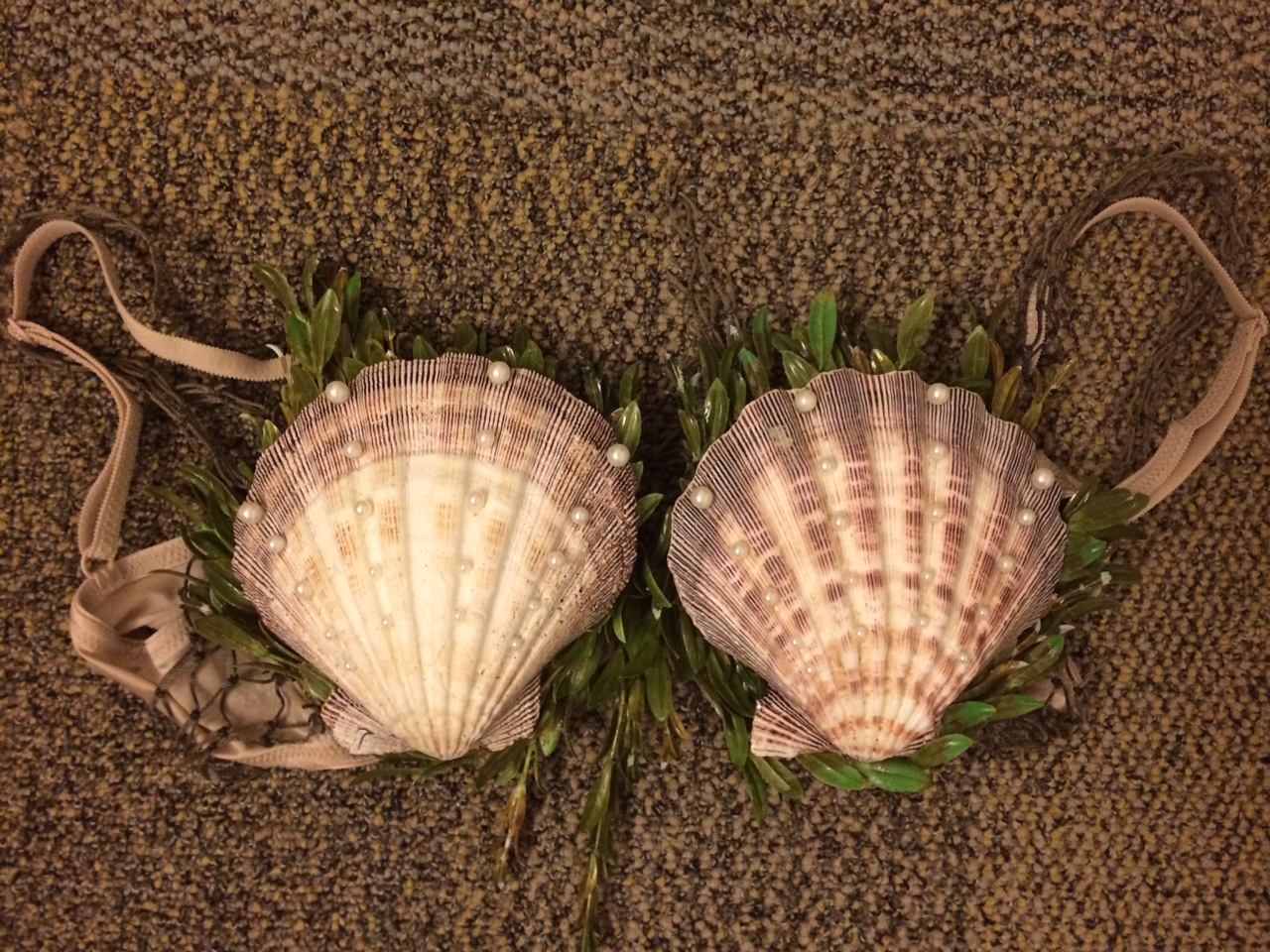 Name:  shellbra.JPG
Views: 924
Size:  631.0 KB