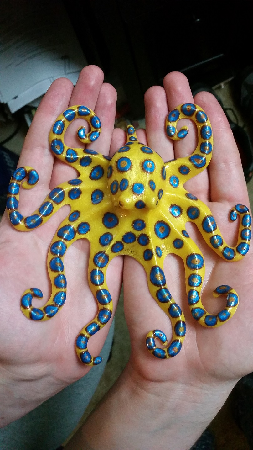 Name:  octotopus.jpg
Views: 827
Size:  351.3 KB