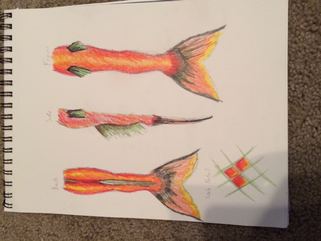 Name:  IMG_2345.JPG
Views: 975
Size:  90.9 KB