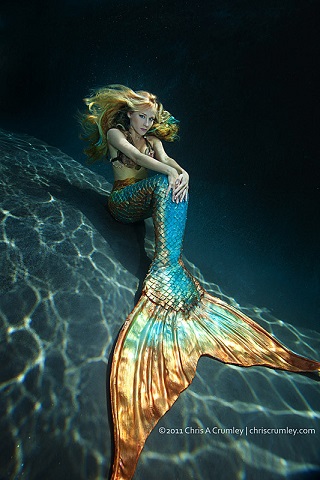 Name:  Mermaid Sitting Pretty by Chris Crumley 110512-9463H Sm.jpg
Views: 462
Size:  216.3 KB