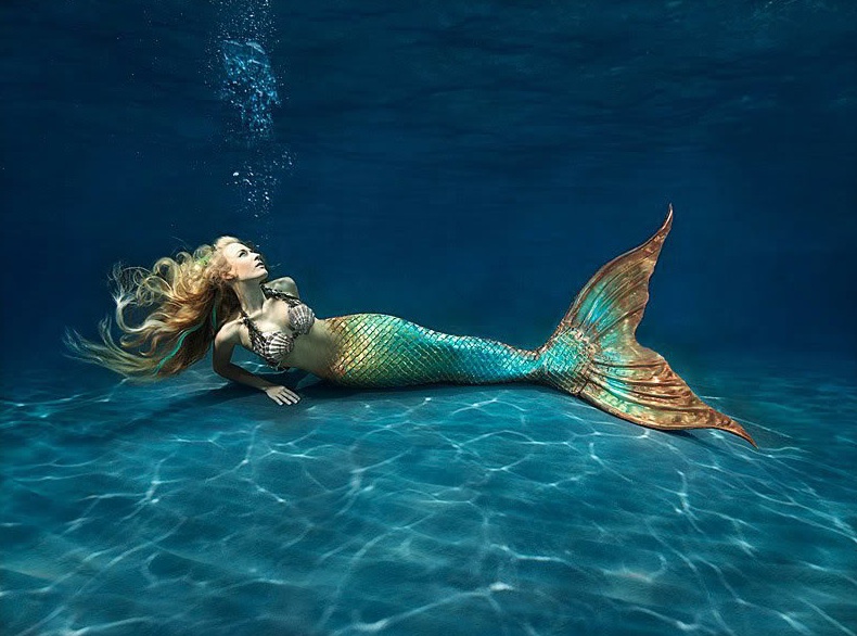 Name:  mermaids-1eyq13l.jpg
Views: 456
Size:  142.1 KB