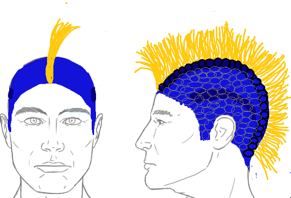Name:  head fin2.png
Views: 414
Size:  100.5 KB