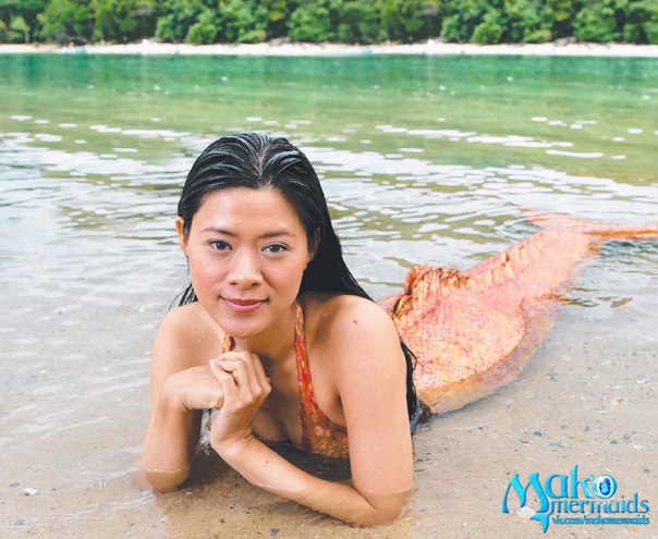 Name:  xUmS-yW9wtg.jpg
Views: 4675
Size:  70.4 KB