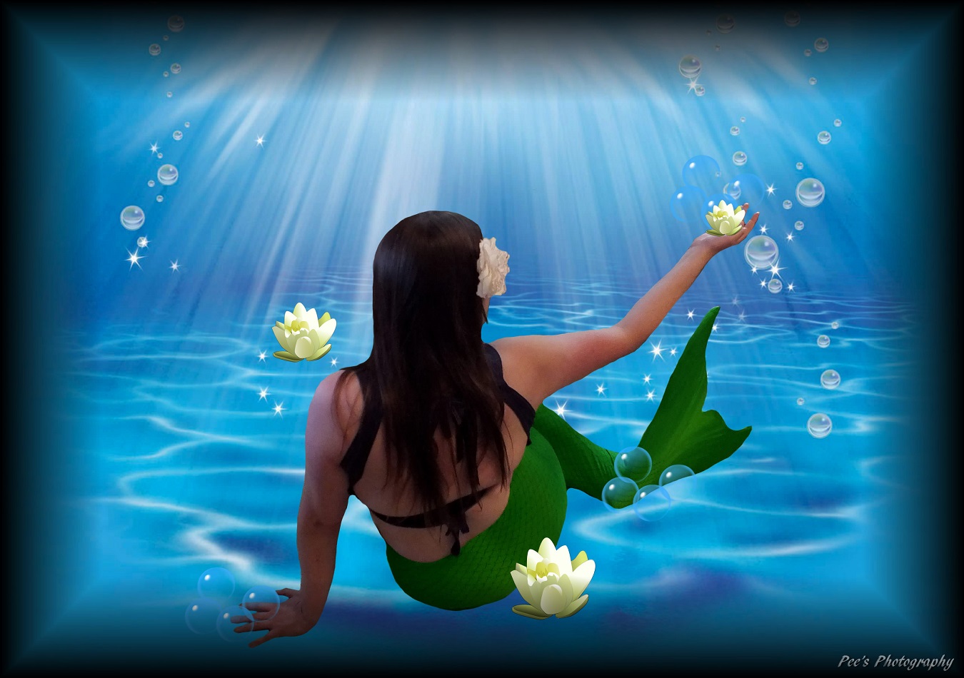 Name:  MerBackSmallerPic.jpg
Views: 840
Size:  262.2 KB