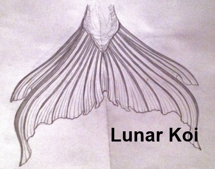 Name:  small fluke.jpg
Views: 1475
Size:  120.5 KB