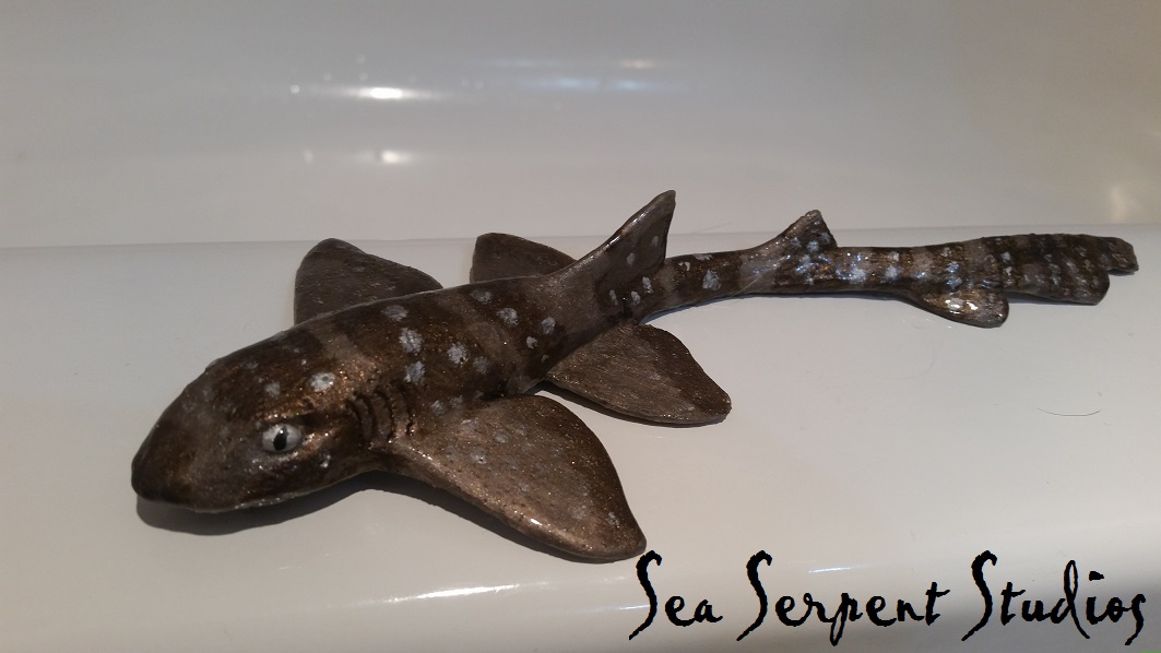 Name:  bamboo shark.jpg
Views: 540
Size:  125.4 KB
