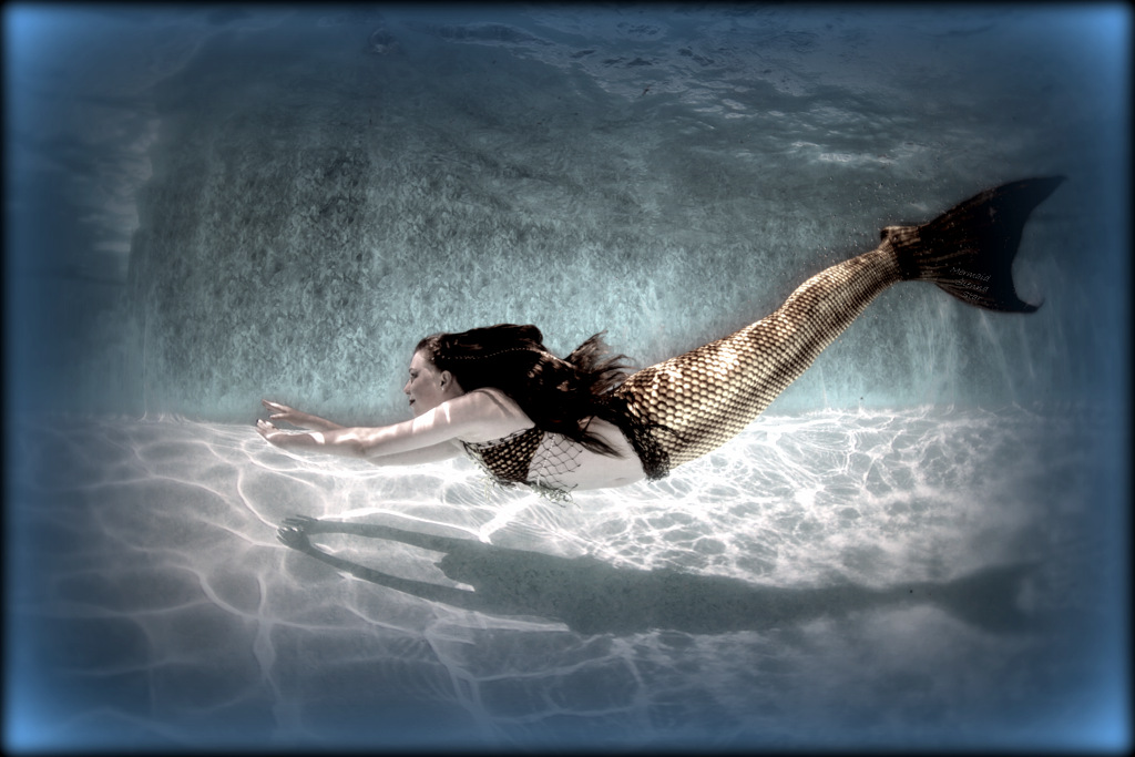 Name:  Mermaid Sienna Star.jpg
Views: 662
Size:  202.5 KB