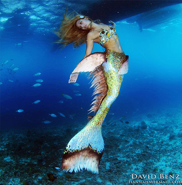Name:  Mermaid-David Benz-3.jpg
Views: 4468
Size:  103.2 KB