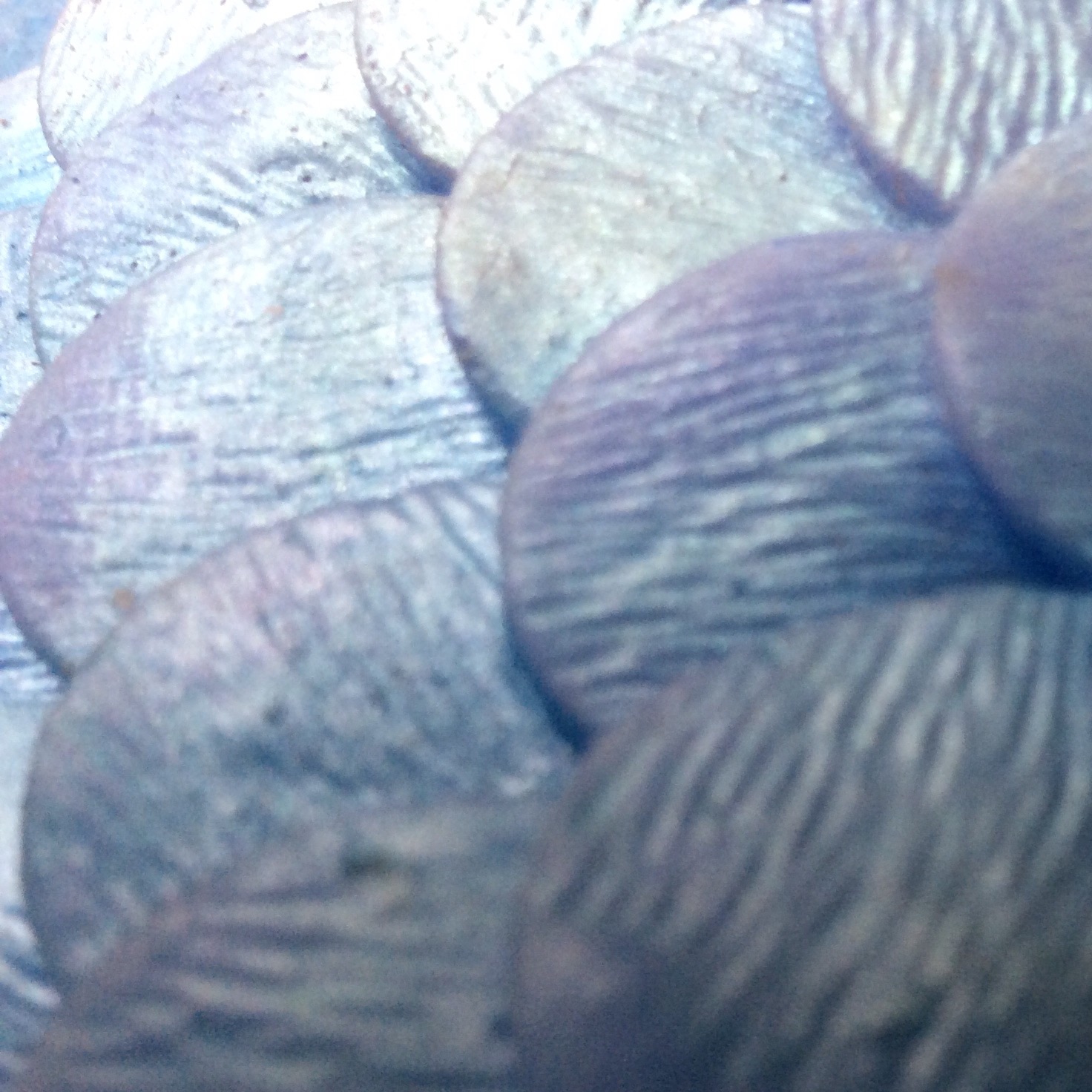 Name:  image.jpg
Views: 1195
Size:  423.4 KB