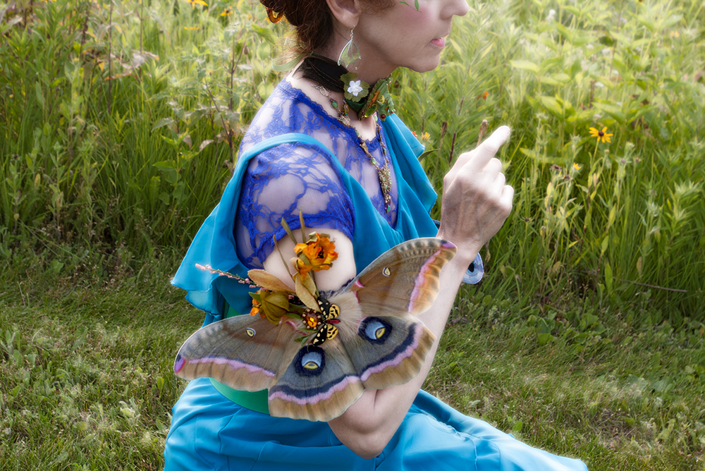Name:  Polyphemus arm wings3.jpg
Views: 586
Size:  711.9 KB