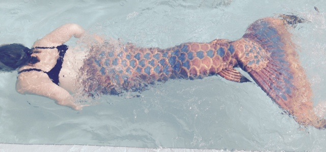 Name:  mermaid5.jpg
Views: 1233
Size:  62.0 KB
