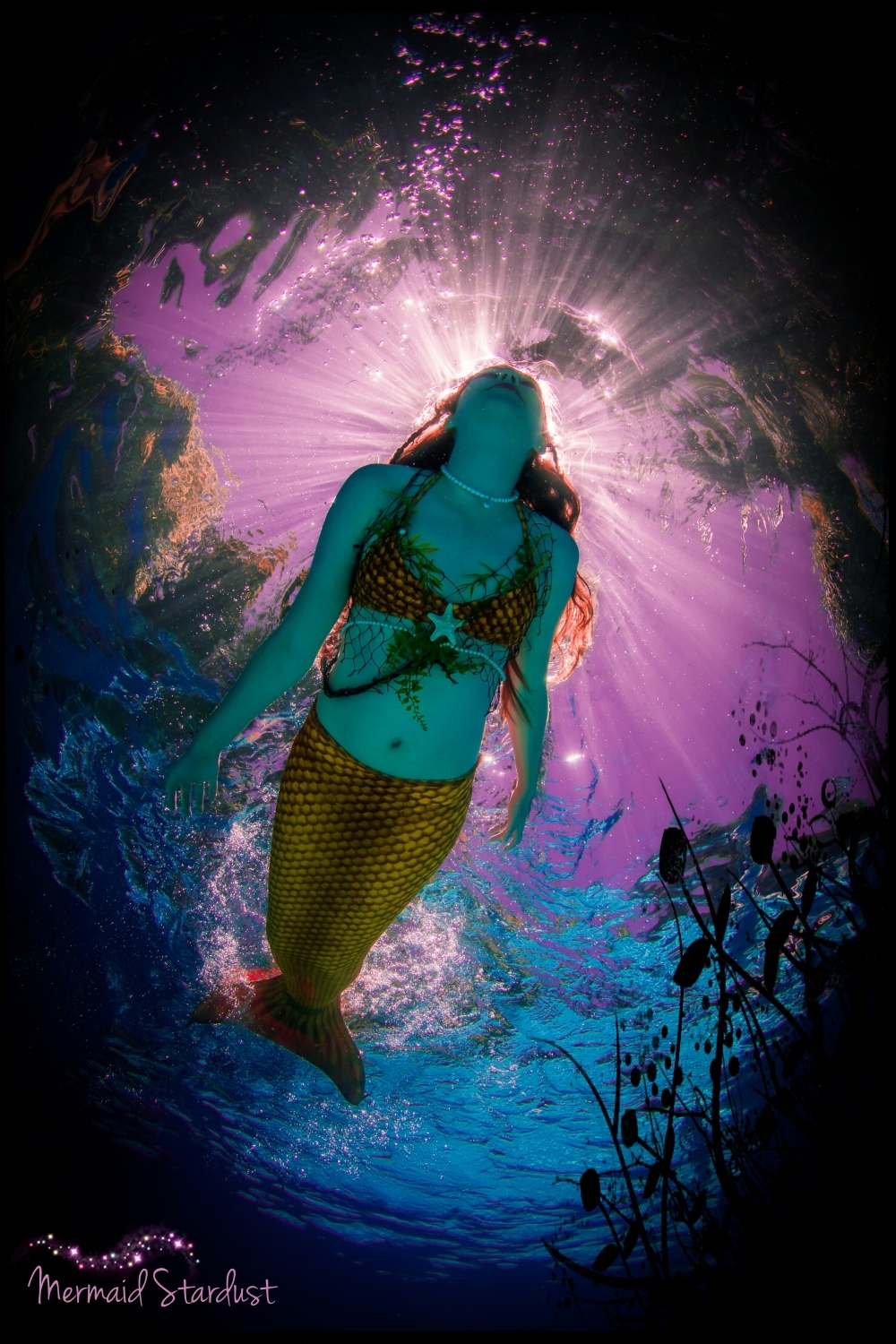 Name:  mermaid stardust 1500x1000.jpg
Views: 819
Size:  796.7 KB