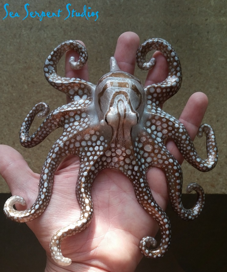 Name:  striped octopus resized.jpg
Views: 482
Size:  250.2 KB