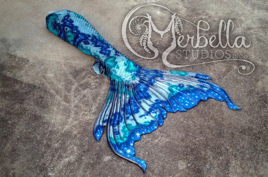 Name:  Mer2.jpg
Views: 723
Size:  551.0 KB