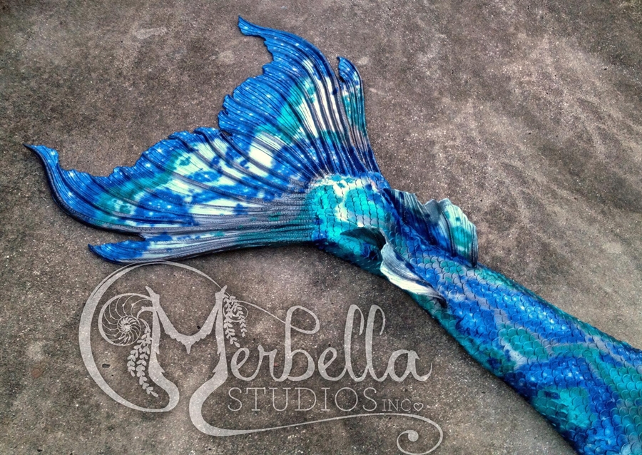 Name:  Mer4.jpg
Views: 710
Size:  621.2 KB