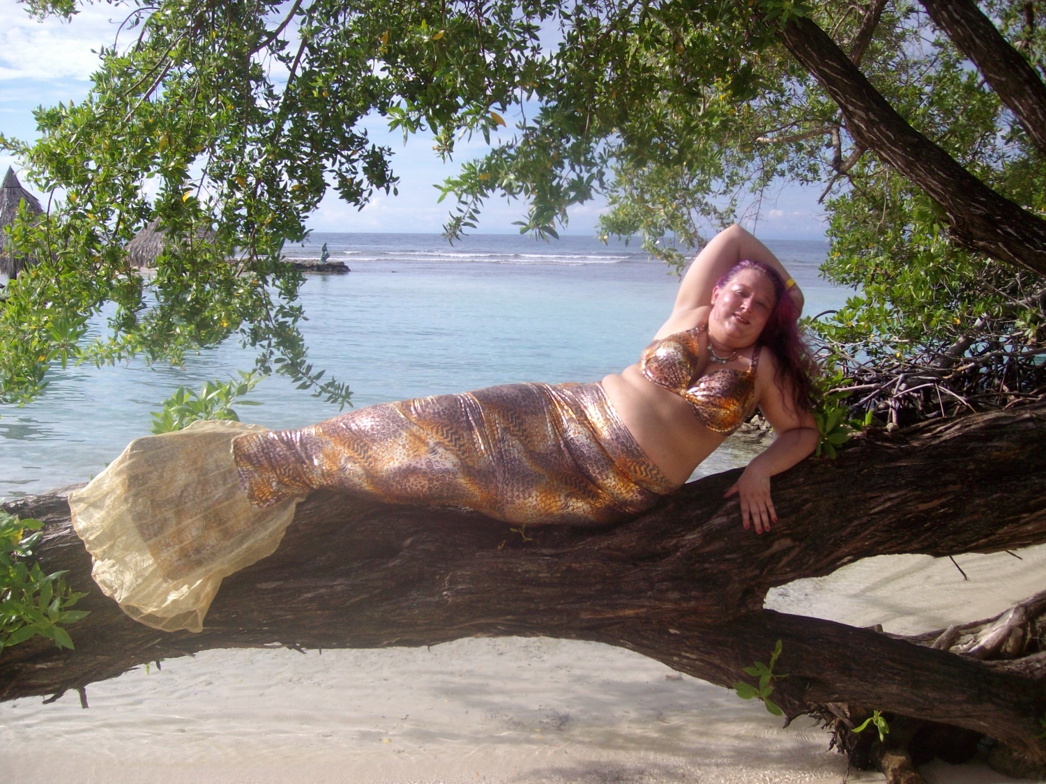 Name:  tree lounge small.jpg
Views: 1265
Size:  708.9 KB