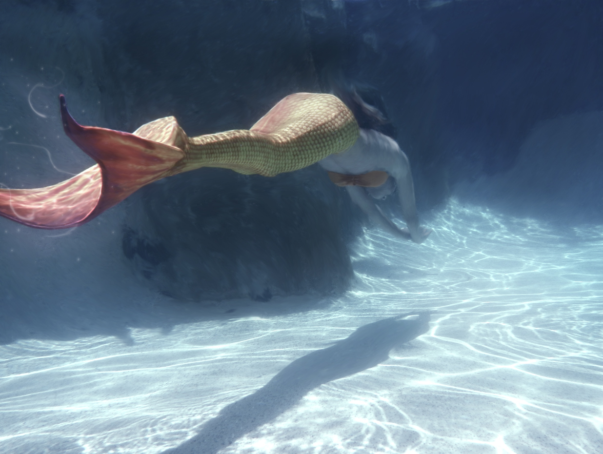Name:  MermaidID.jpg
Views: 818
Size:  420.2 KB