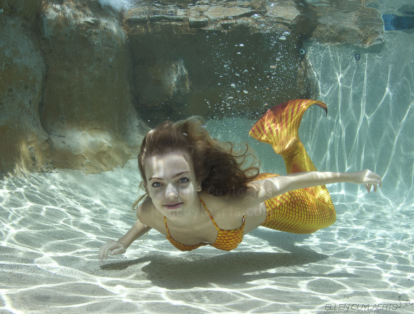 Name:  UnderTheSea.jpg
Views: 742
Size:  321.7 KB
