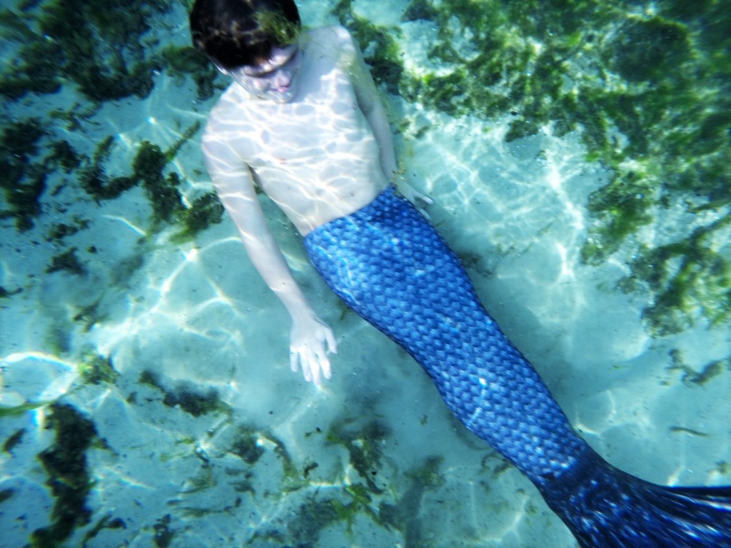 Name:  Merman Dylan Zalrian Alexander Springs 13 (2).jpg
Views: 611
Size:  220.7 KB