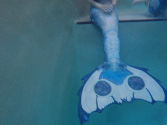 Name:  GOPR0699.jpg
Views: 519
Size:  52.4 KB