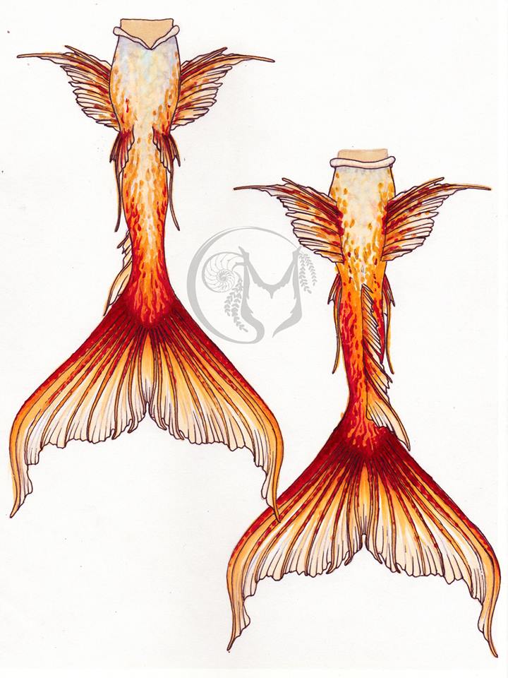Name:  MerOnFireMerbellasLogoLooksABitLikePrincessAllurasHelmet.jpg
Views: 775
Size:  89.9 KB