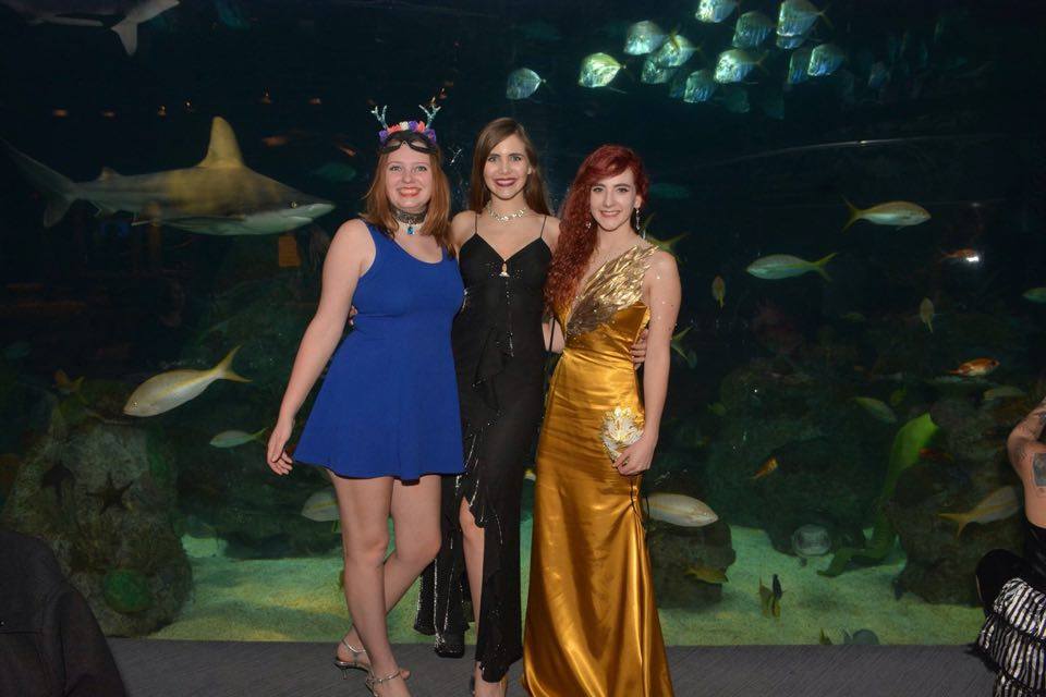 Name:  1.2.16 Halifax Mermaids Mermania.jpg
Views: 655
Size:  60.2 KB