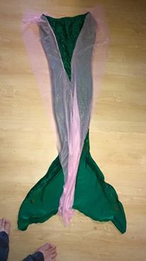 Name:  tail12696182_10204339956979468_1662757126_n.jpg
Views: 960
Size:  12.2 KB