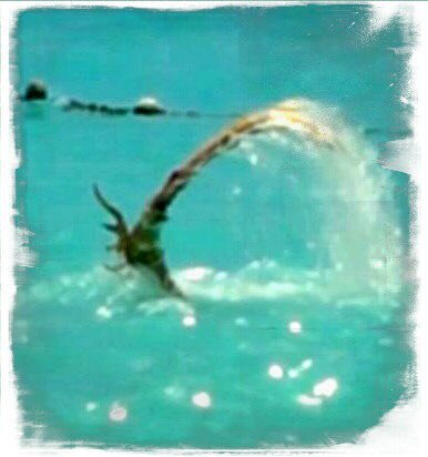 Name:  VIDEO0077_0000015389_2 (1).jpg
Views: 866
Size:  25.7 KB