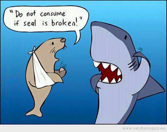 Name:  sealbroken.jpg
Views: 188
Size:  29.1 KB