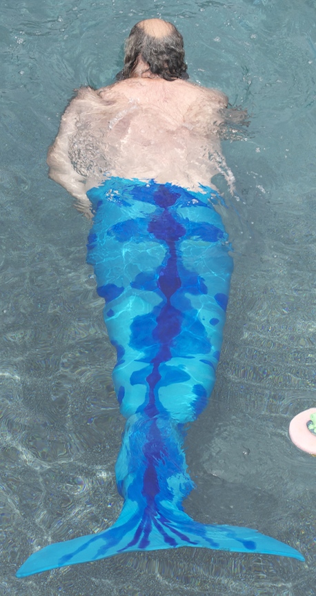 Name:  tail_lunocet.jpg
Views: 830
Size:  212.3 KB