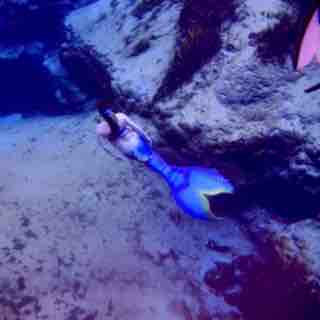Name:  ImageUploadedByTapatalk1459271871.940157.jpg
Views: 731
Size:  7.1 KB