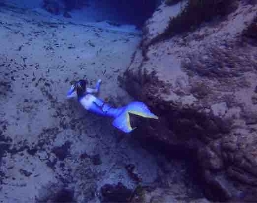 Name:  ImageUploadedByTapatalk1459271934.729689.jpg
Views: 750
Size:  12.1 KB
