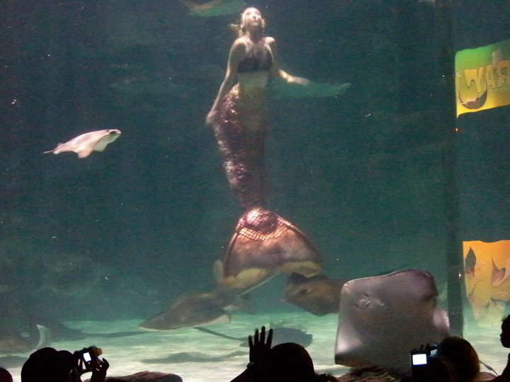 Name:  269194_2219908734649_3978339_n.jpg
Views: 1966
Size:  60.8 KB