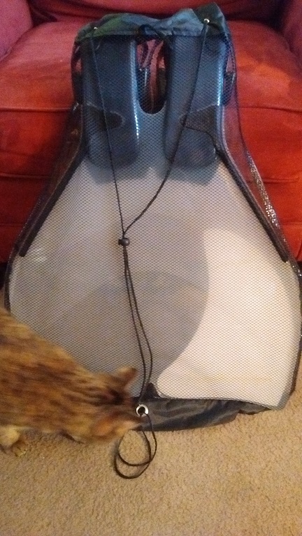 Name:  cat1.jpg
Views: 257
Size:  349.3 KB