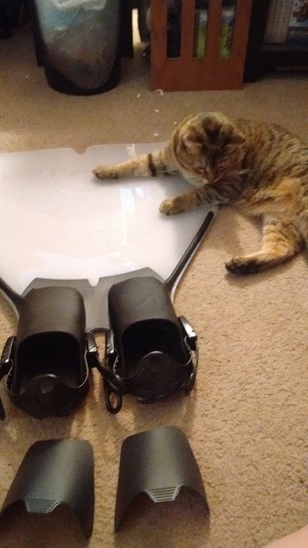 Name:  cat2.jpg
Views: 251
Size:  324.0 KB
