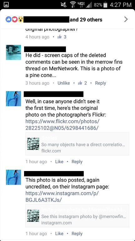 Name:  merrowfins 1.jpg
Views: 999
Size:  102.3 KB