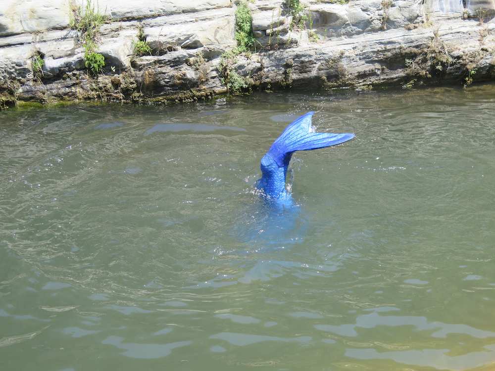 Name:  IMG_1784.jpg
Views: 295
Size:  95.3 KB